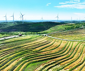河北張北：阡陌縱橫